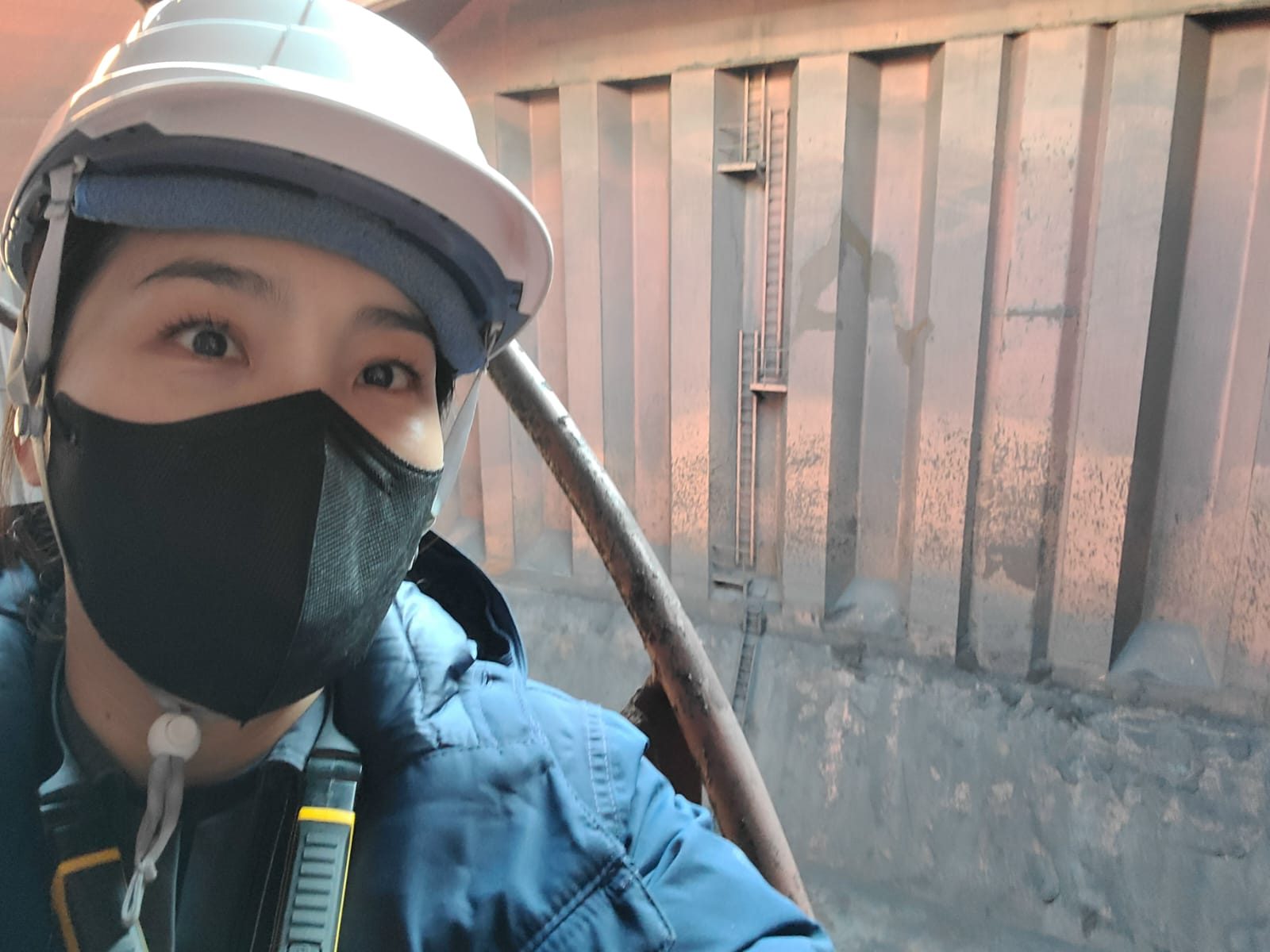 A Moim surveyor inside a vessel's cargo space during attendance, with a corrugated transverse bulkhead and access ladder behind.